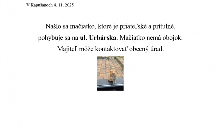 Fotka - Na ul. Urbárska sa našlo mačiatko