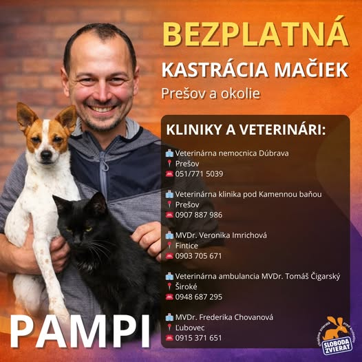 Fotka - Oznam bezplatná kastrácia mačiek